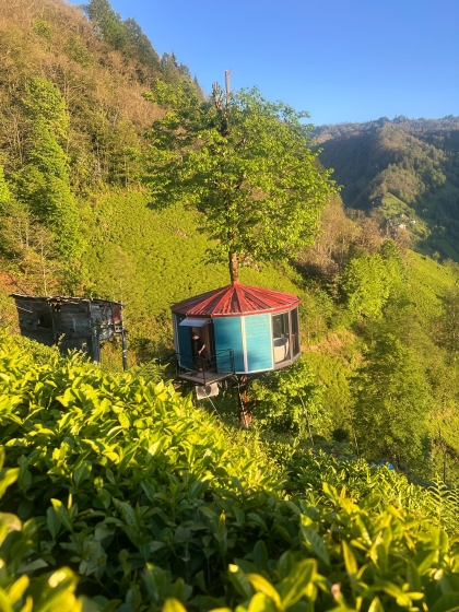 Tree House Bungalov (1861)