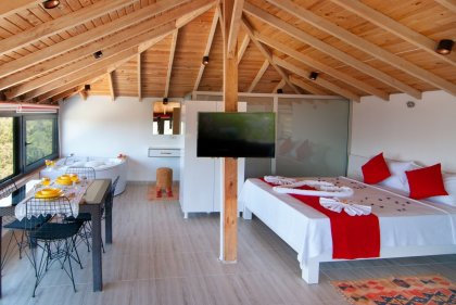 Villa Celia (2213)