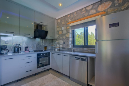 Villa Snowflake (2155)